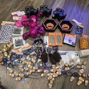 Huge Halloween Crafts and Decor Lot
